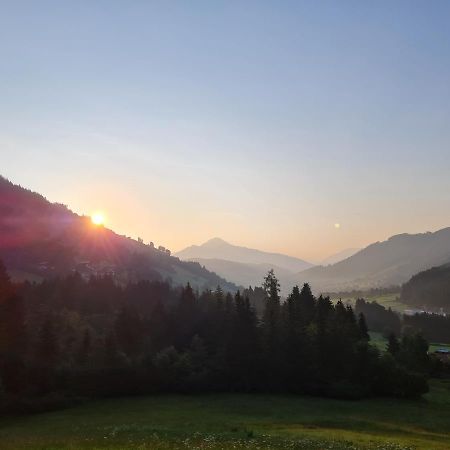 Ferienwohnung Zauberwinkelweg Mit Traum-Aussicht! วิลด์เชอเนา ภายนอก รูปภาพ