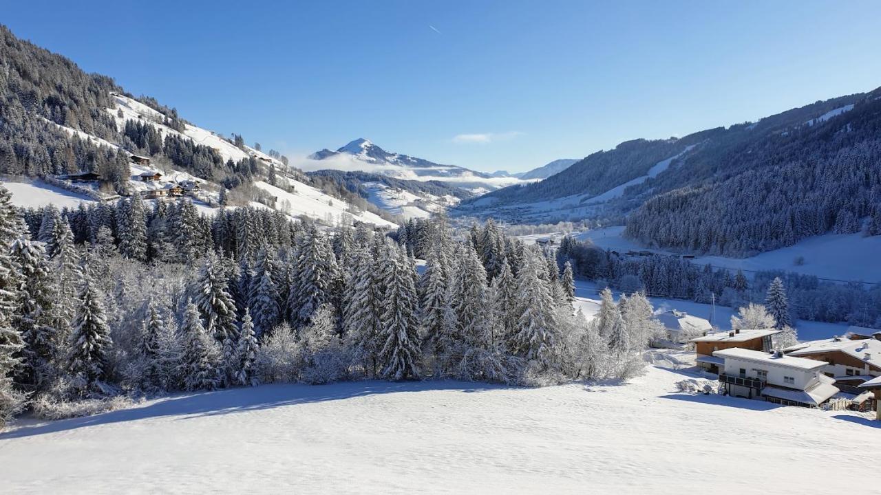 Ferienwohnung Zauberwinkelweg Mit Traum-Aussicht! วิลด์เชอเนา ภายนอก รูปภาพ